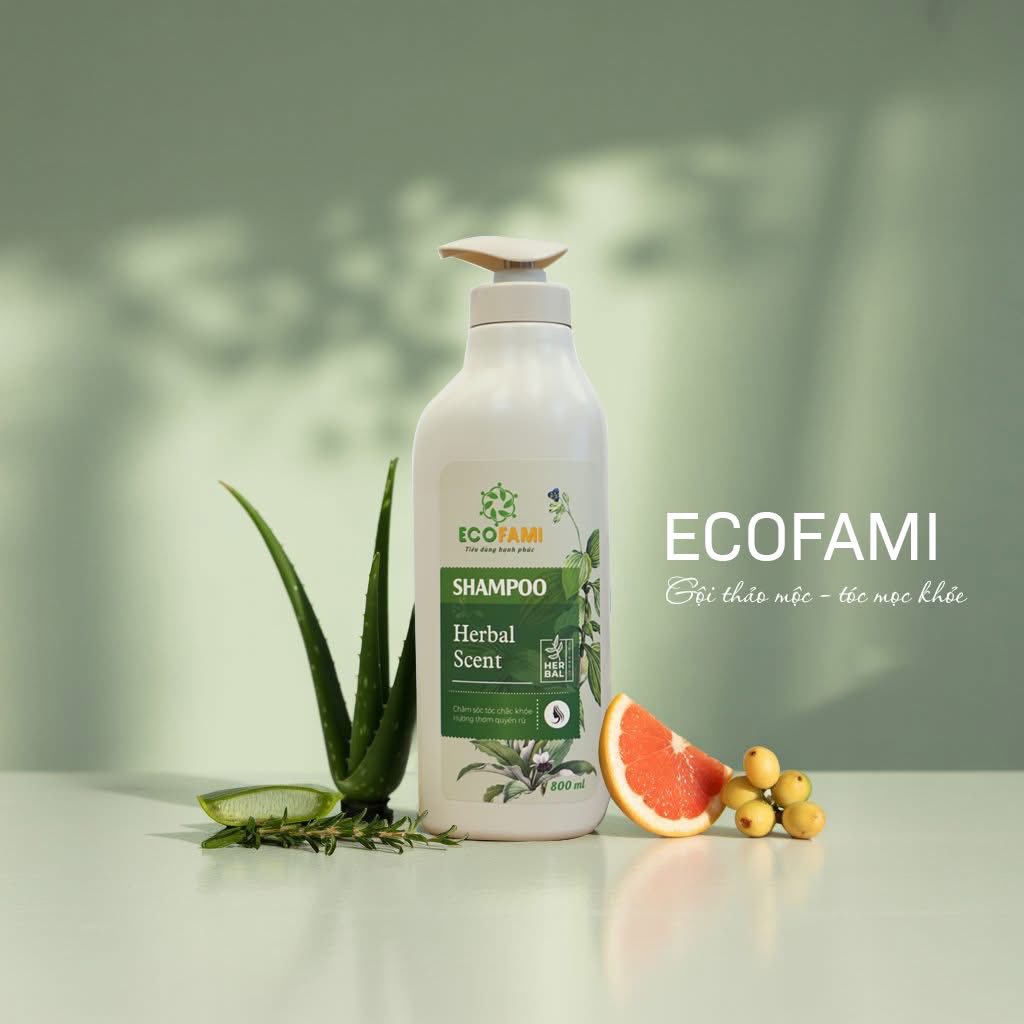 (Qùa tặng 6 tặng 1) Dầu gội đầu Herbal Scent Ecofami (800ml)
