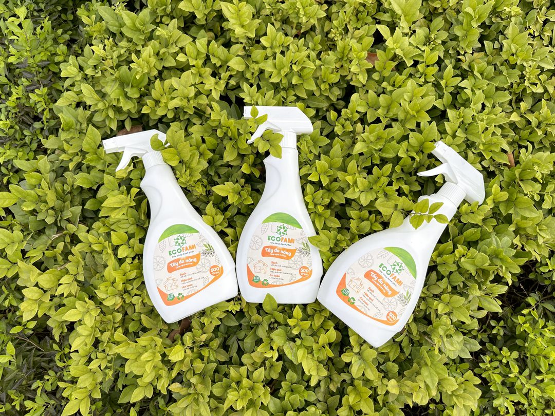 (Qùa tặng 6 tặng 1) Nước tẩy đa năng Ecofami 500gr